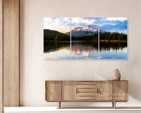 "Nature's Mirror" Triptych 72"x36" 3-24"x36"