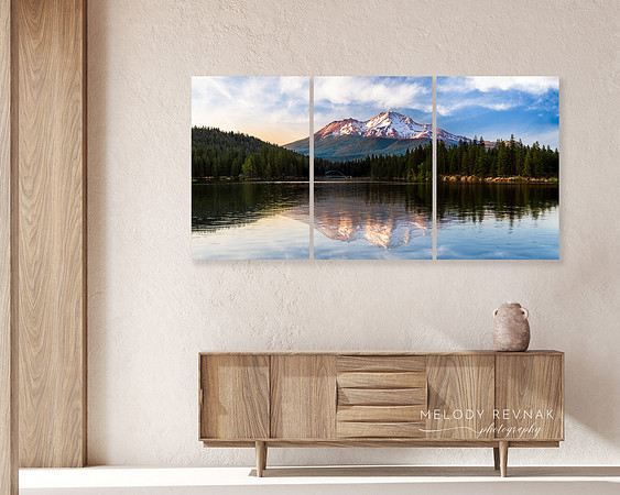 "Nature's Mirror" Triptych 72"x36" 3-24"x36"