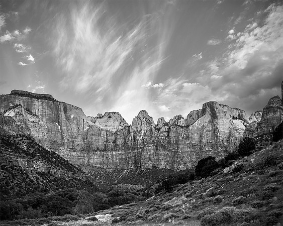Morning Light LE - Zion National Park