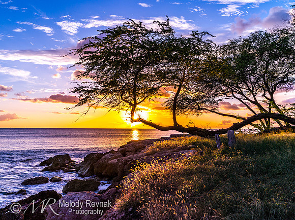 Golden Sunset  -KoOlina