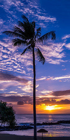 Tropical Dreams  - KoOlina Hawaii
