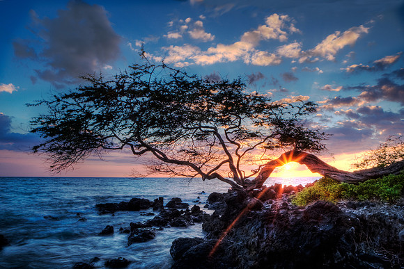 Kiawe Sunset - Big Island