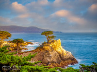 Golden Carmel LE - Lone Cypress Carmel