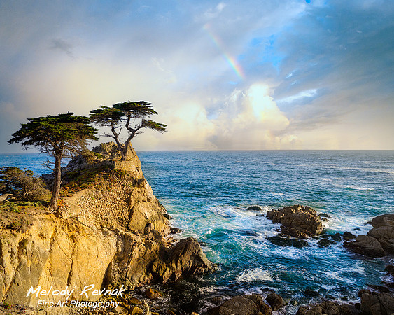 Carmel's Rainbow